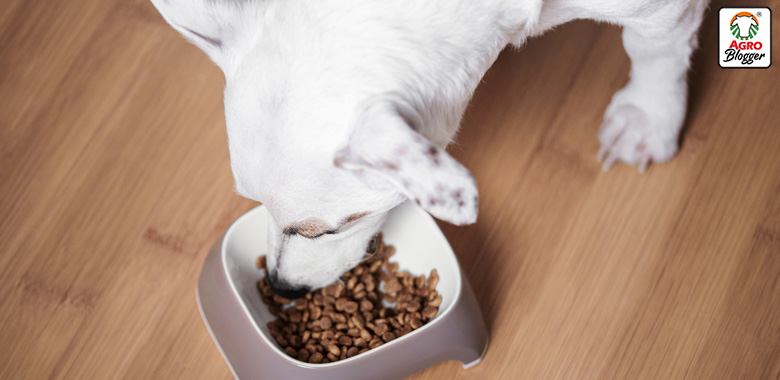 aportes nutricionales en la enfermedad hepatica perros