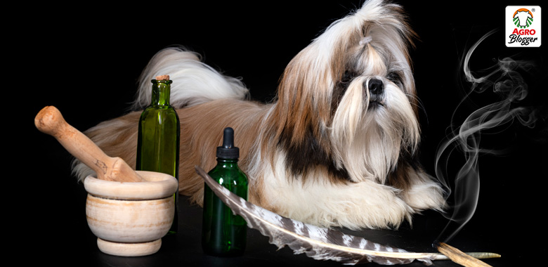 calmar ansiedad de un perro con aromaterapia